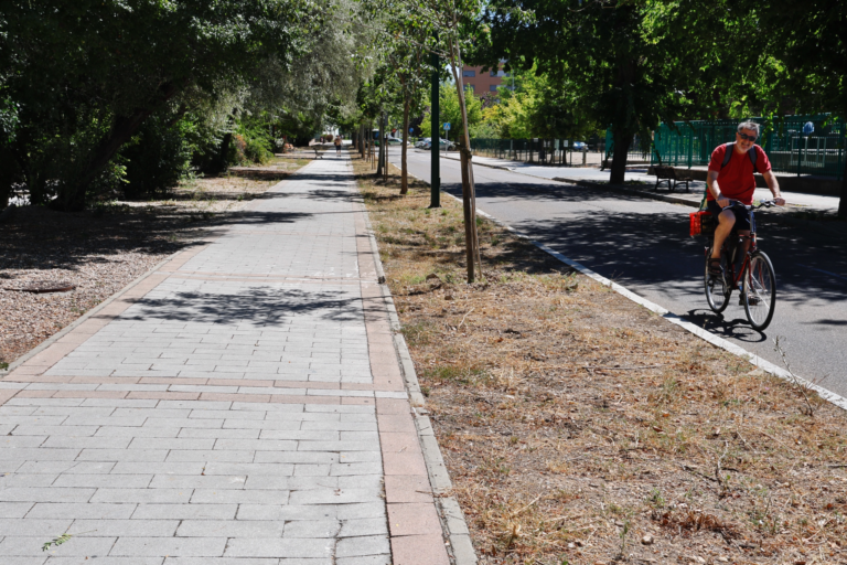 Lee más sobre el artículo El Ayuntamiento destina 700000 euros a un nuevo carril bici que discurrirá por la calle Eras