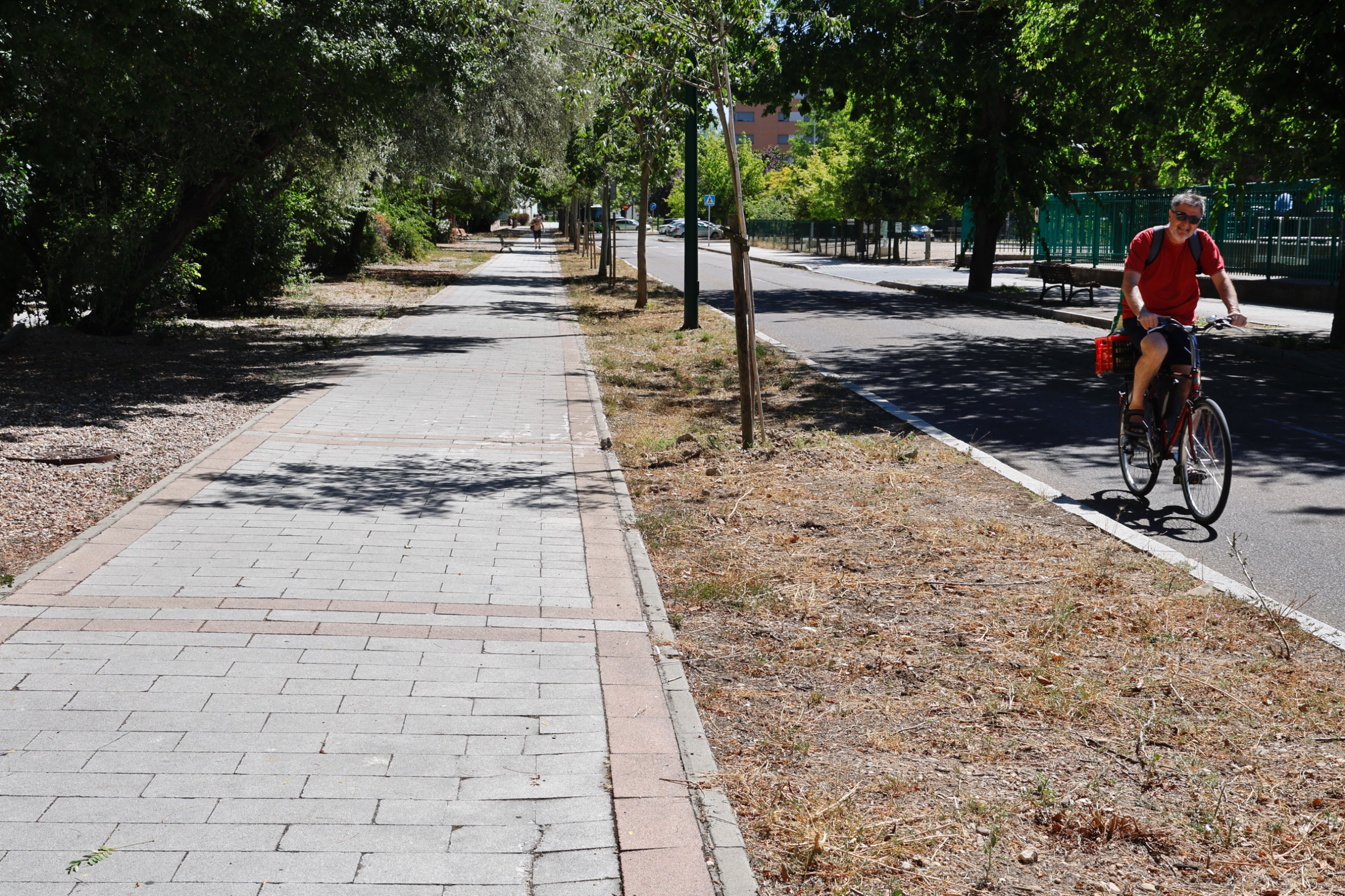 Lee más sobre el artículo El Ayuntamiento destina 700000 euros a un nuevo carril bici que discurrirá por la calle Eras
